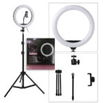 Ring Light 10 Inches + Right Light Stand 7 Ft | Best for Photography & Video